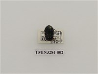 藏品(蘭嶼小綠花金龜)的圖片